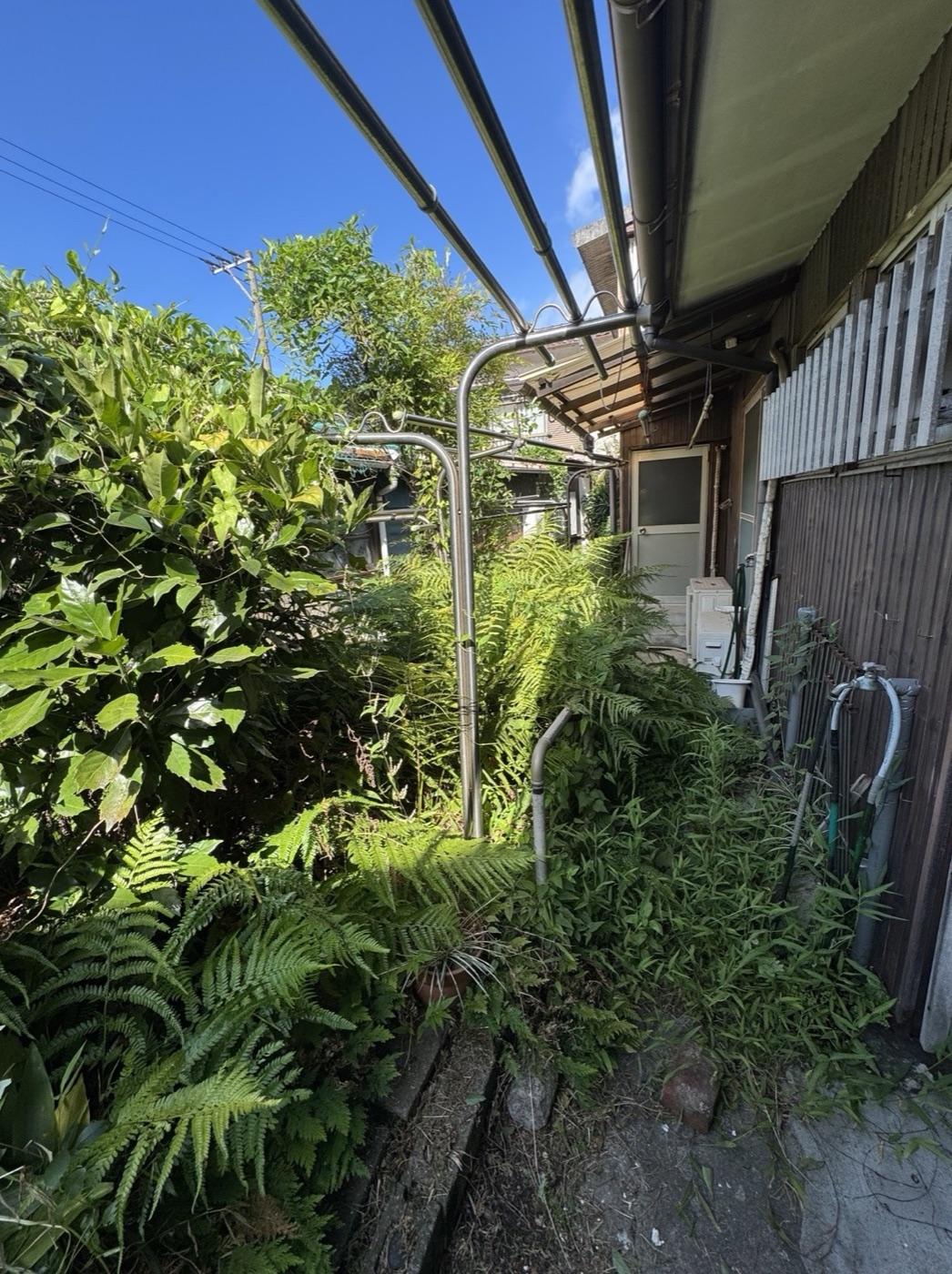作業前：物干しが草木に埋もれた庭