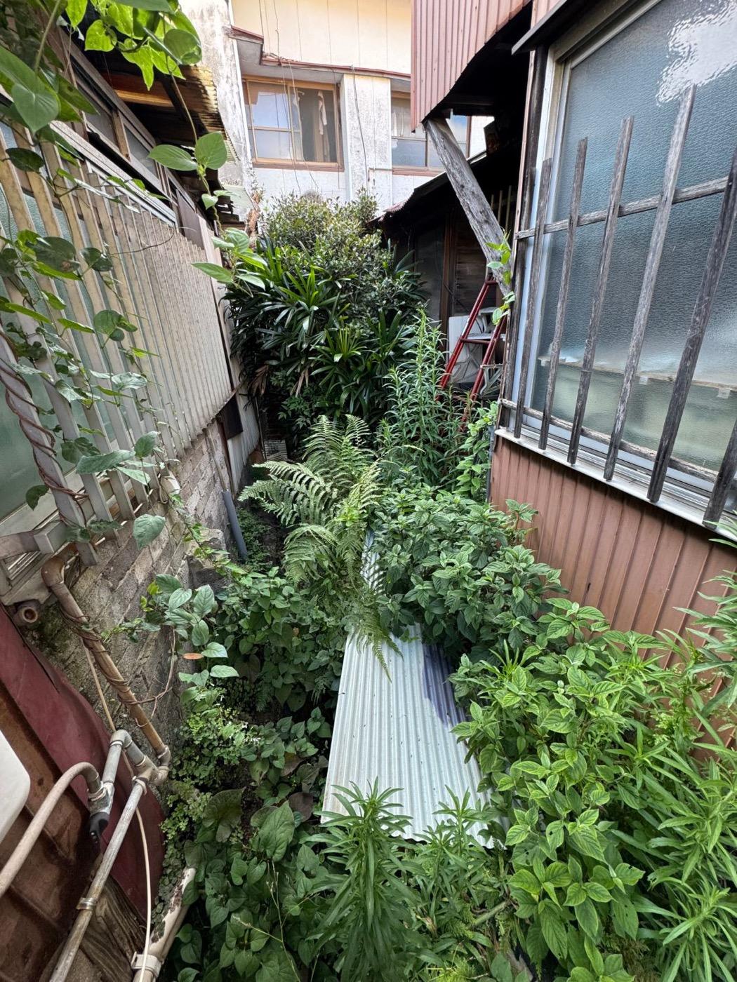 作業前：草とトタン板に覆われた建物の間の側溝